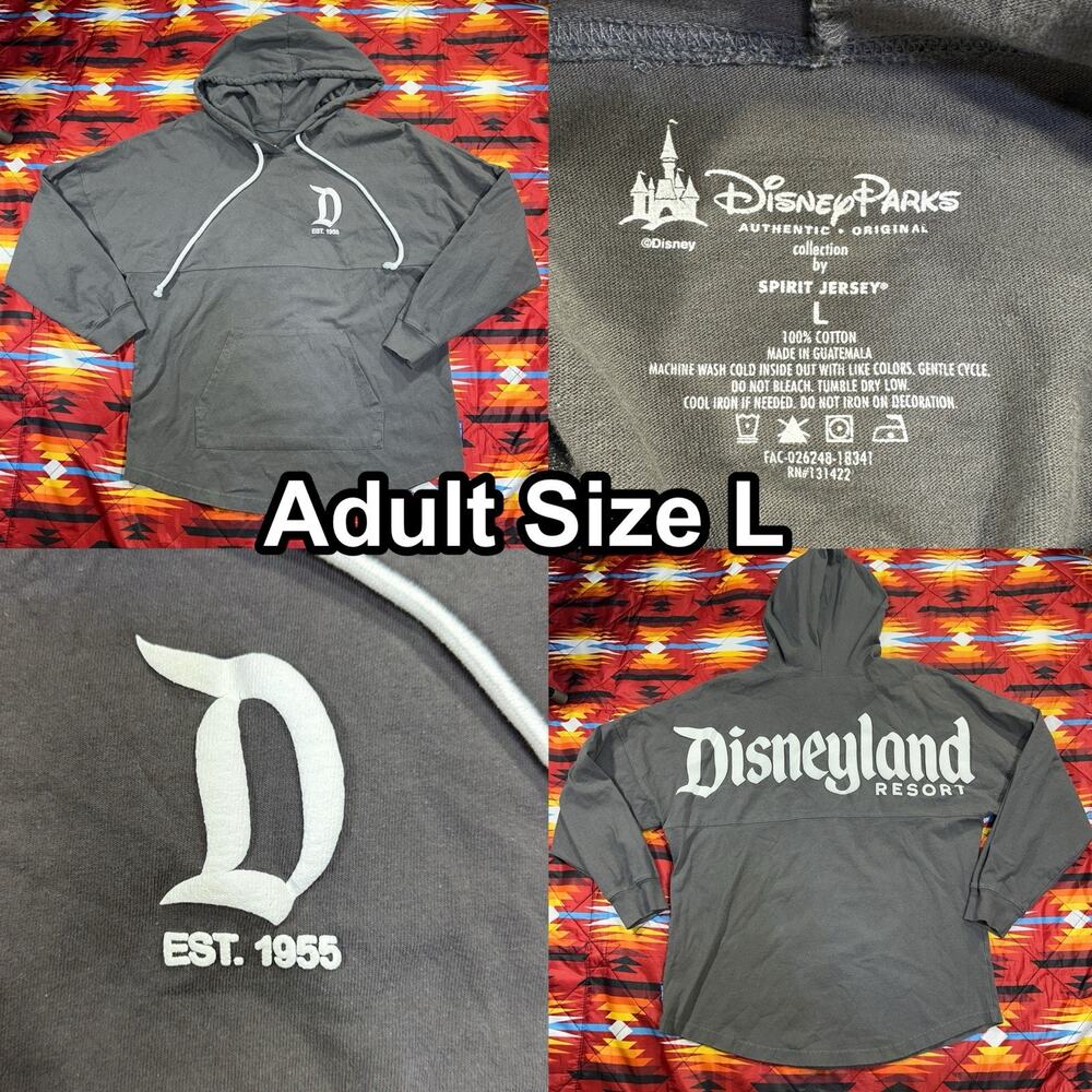 Disneyland Resort Spirit Jersey Hoodie Men’s Size Large Gray Back Spell Out